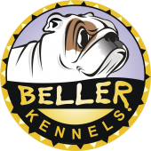 Beller Kennnel - Bulldog Inglês